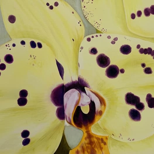 Isabella Ramírez artwork